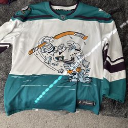 Ducks Jersey