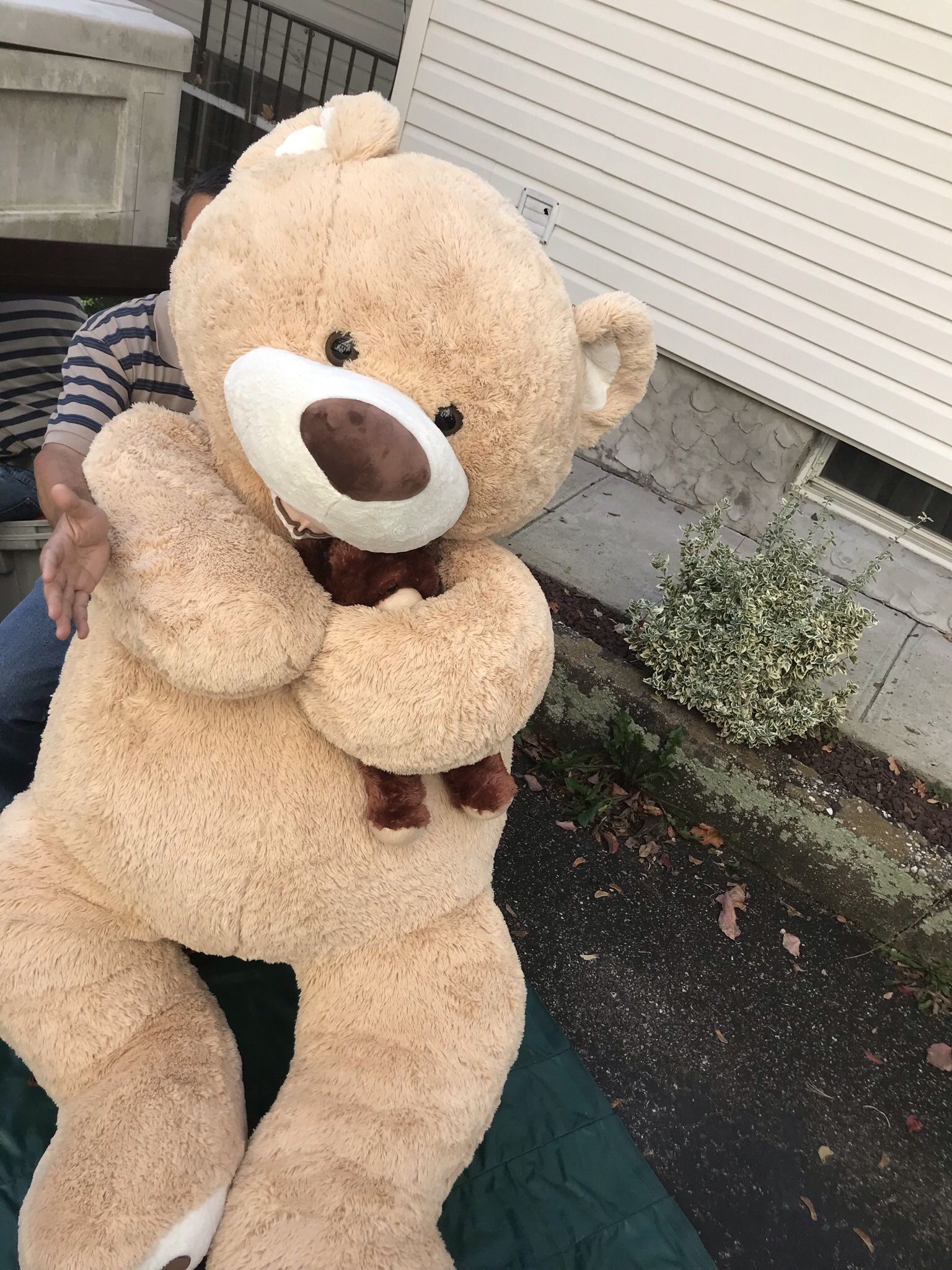 Giant Plush Teddy Bear, 6-foot Tall