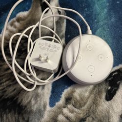 Alexa Dot