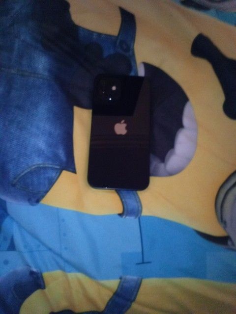 iPhone 12 iCloud Lock