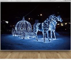 Cinderella Photo Backdrop 