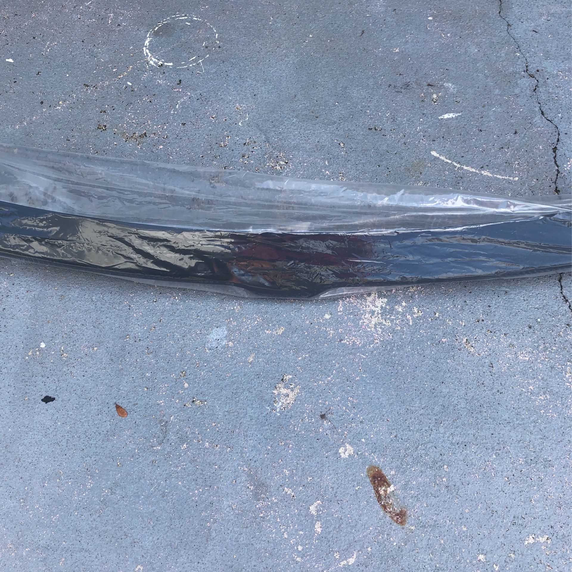 Dodge Truck OEM Bug Deflector