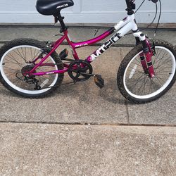 Girls Bicycle 20 Inch Make Offer