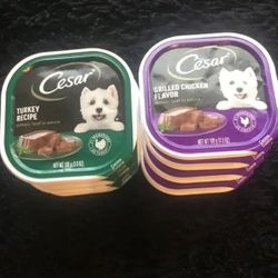 Cesar Wet Dog Food