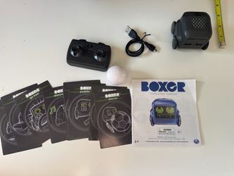 Boxer Interactive Robot Toy
