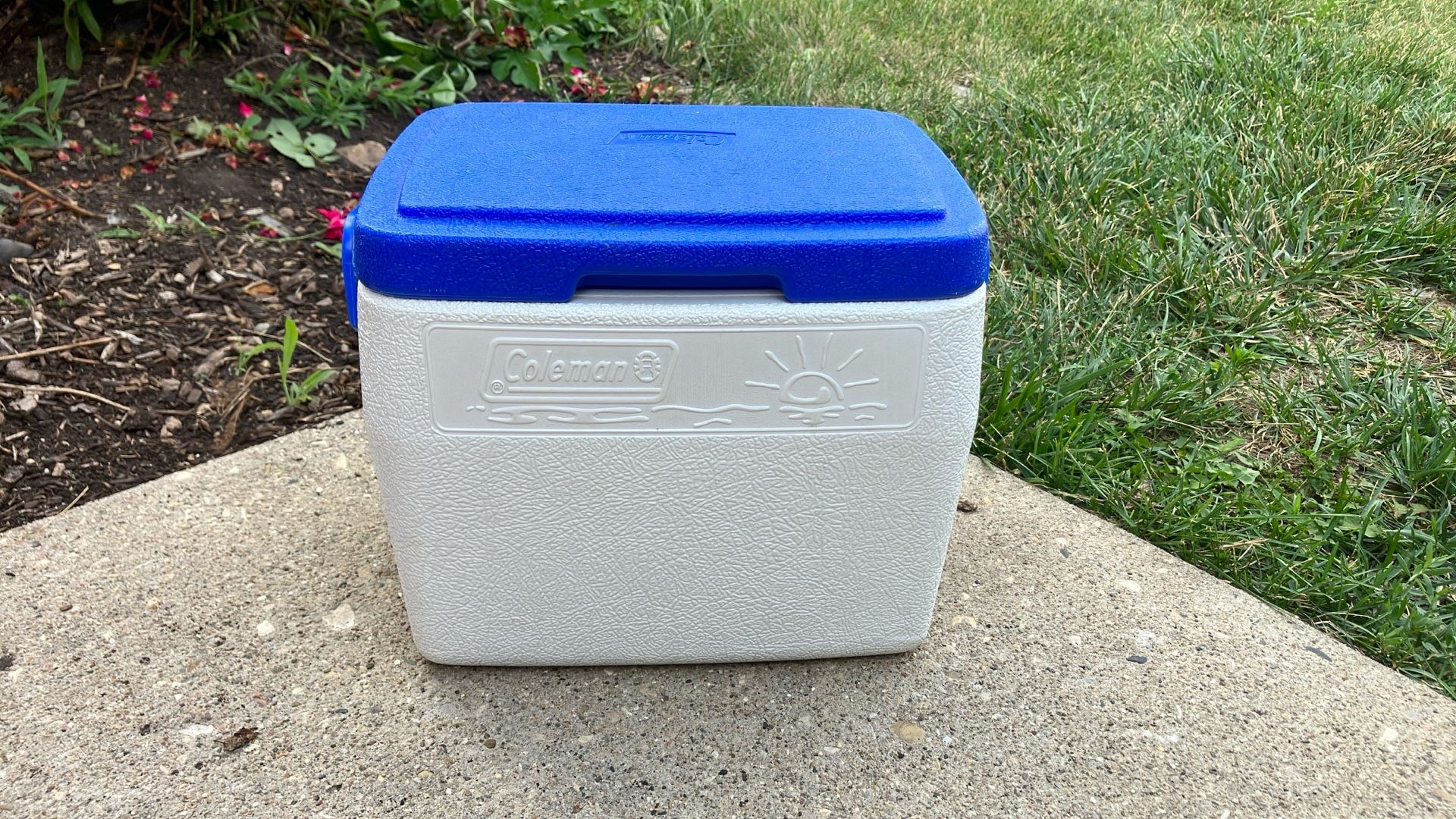Small Blue And White Cooler 🧊
