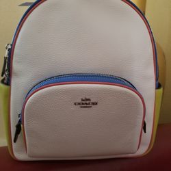 Coach Backpack  Colorblock