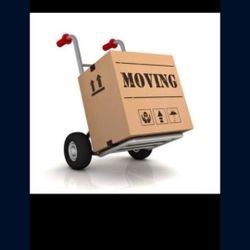 Moving Boxes NE Philly No Delivery Assorted Sizes