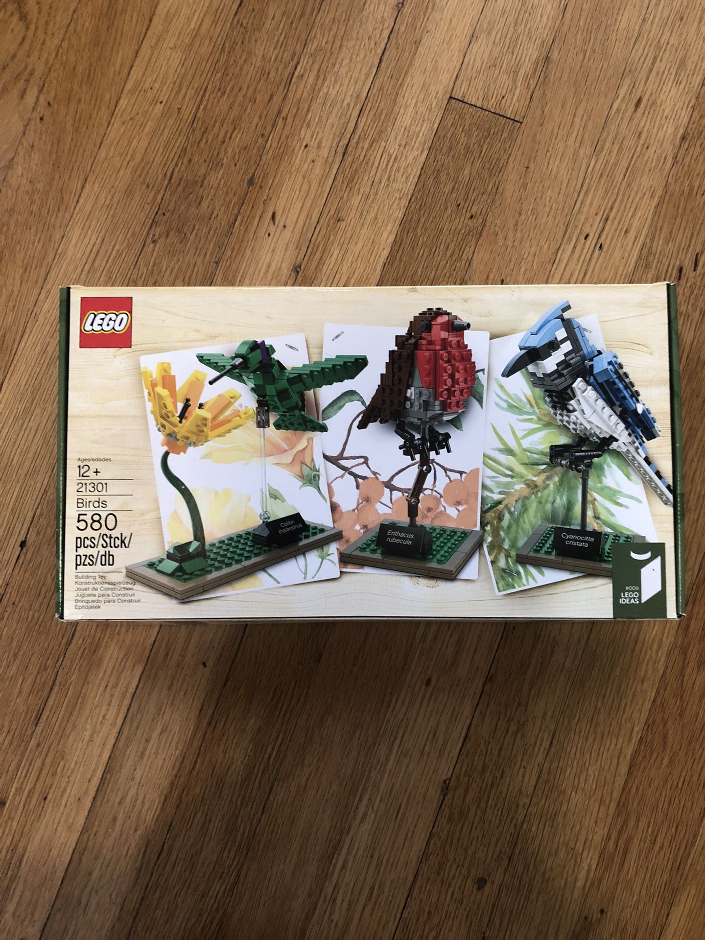 Lego 21301 tearful
