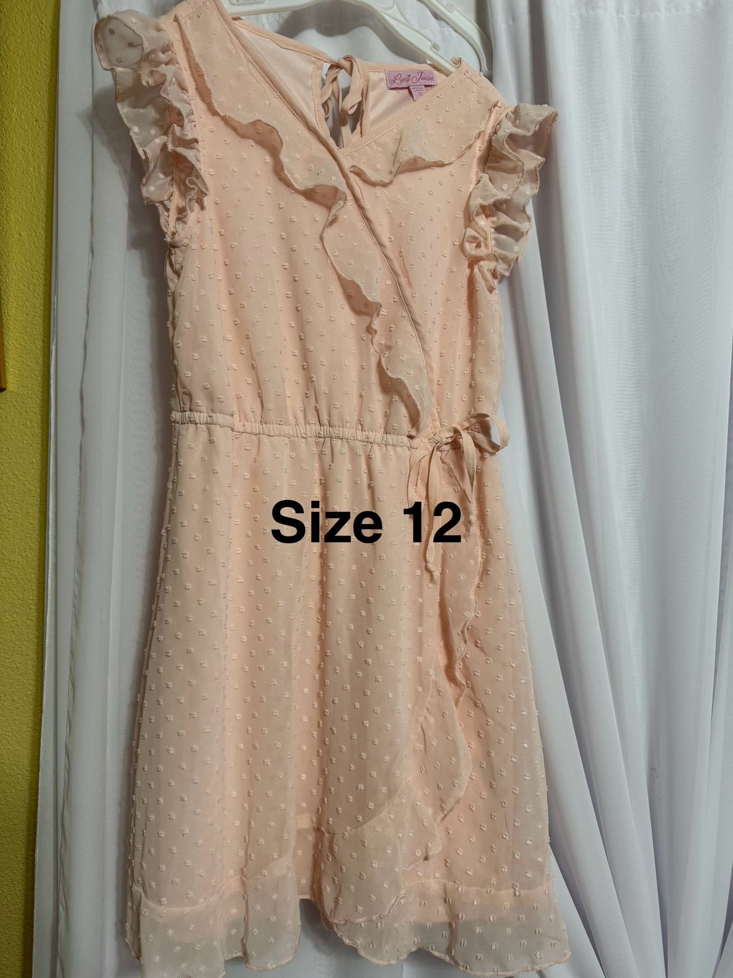 Girls Dress Size 12    $10