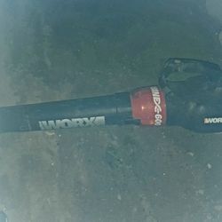 Worx 600 Electric Air Blower Really Strong