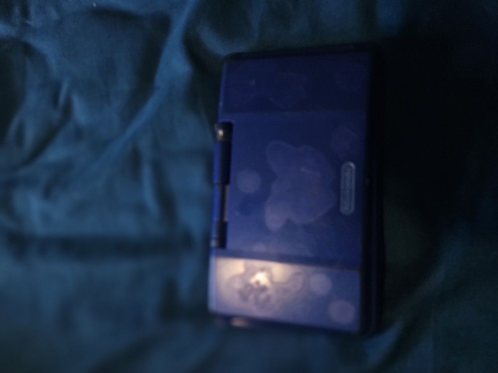 Nintendo DS