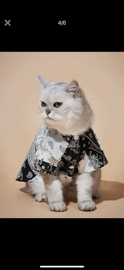 pet shirt
