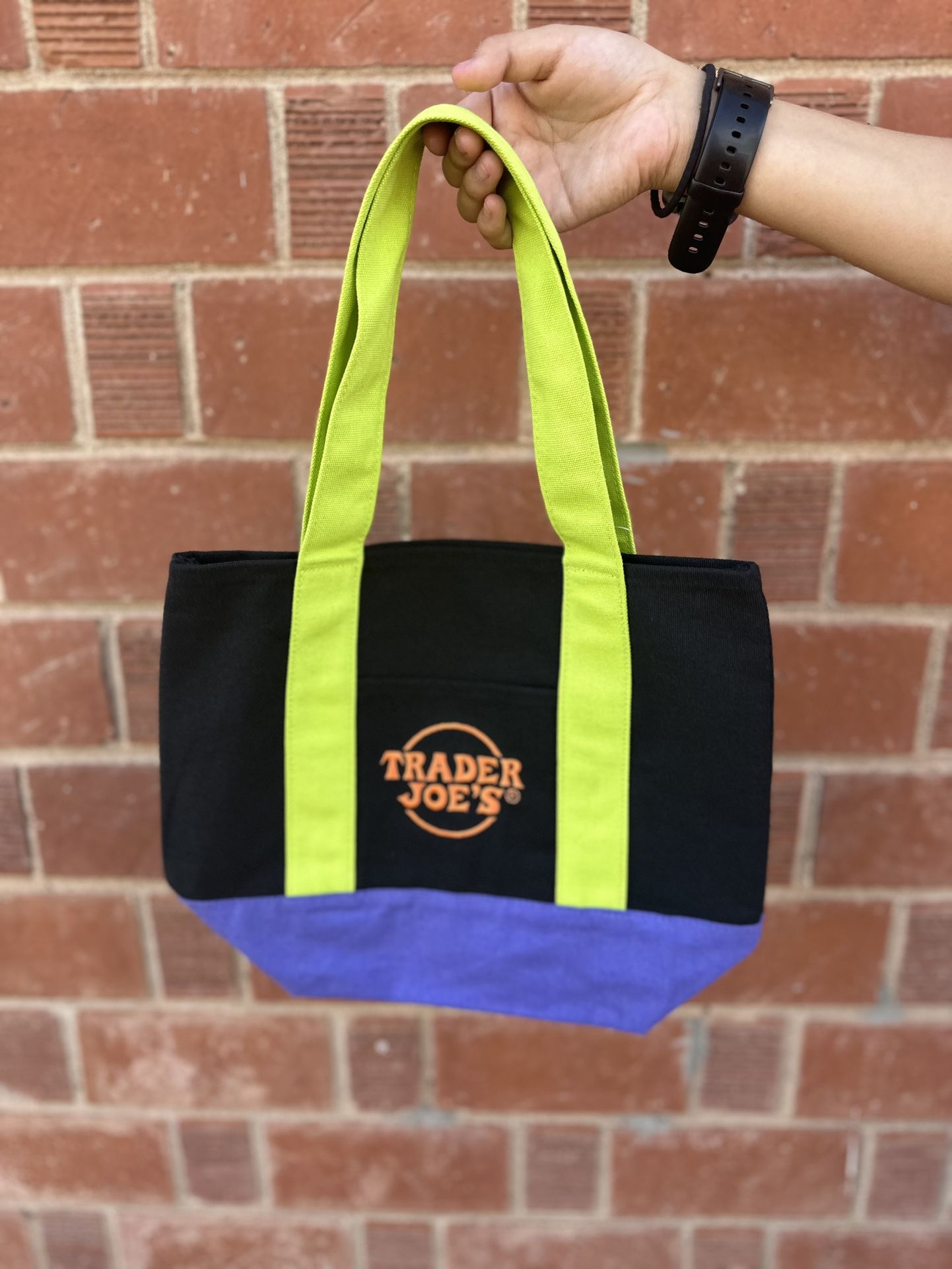 Trader Joe’s canvas mini tote bag