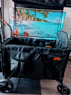 Wagon Stroller for 2 Kids (ZTDM Brand)