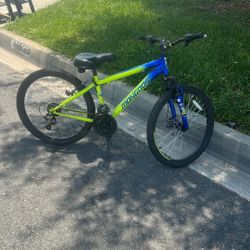 Mongoose Mountain Bike 