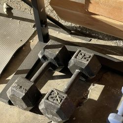 25lbs Dumbbells 