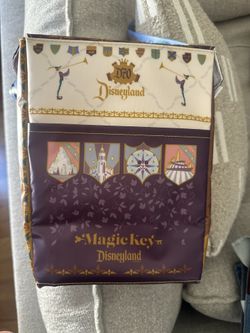 Disney Magic Key Cooler