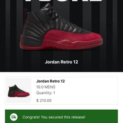 Jordan 12s 