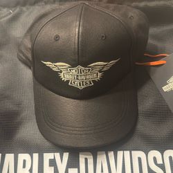 Harley Davidson Hats $20 Each