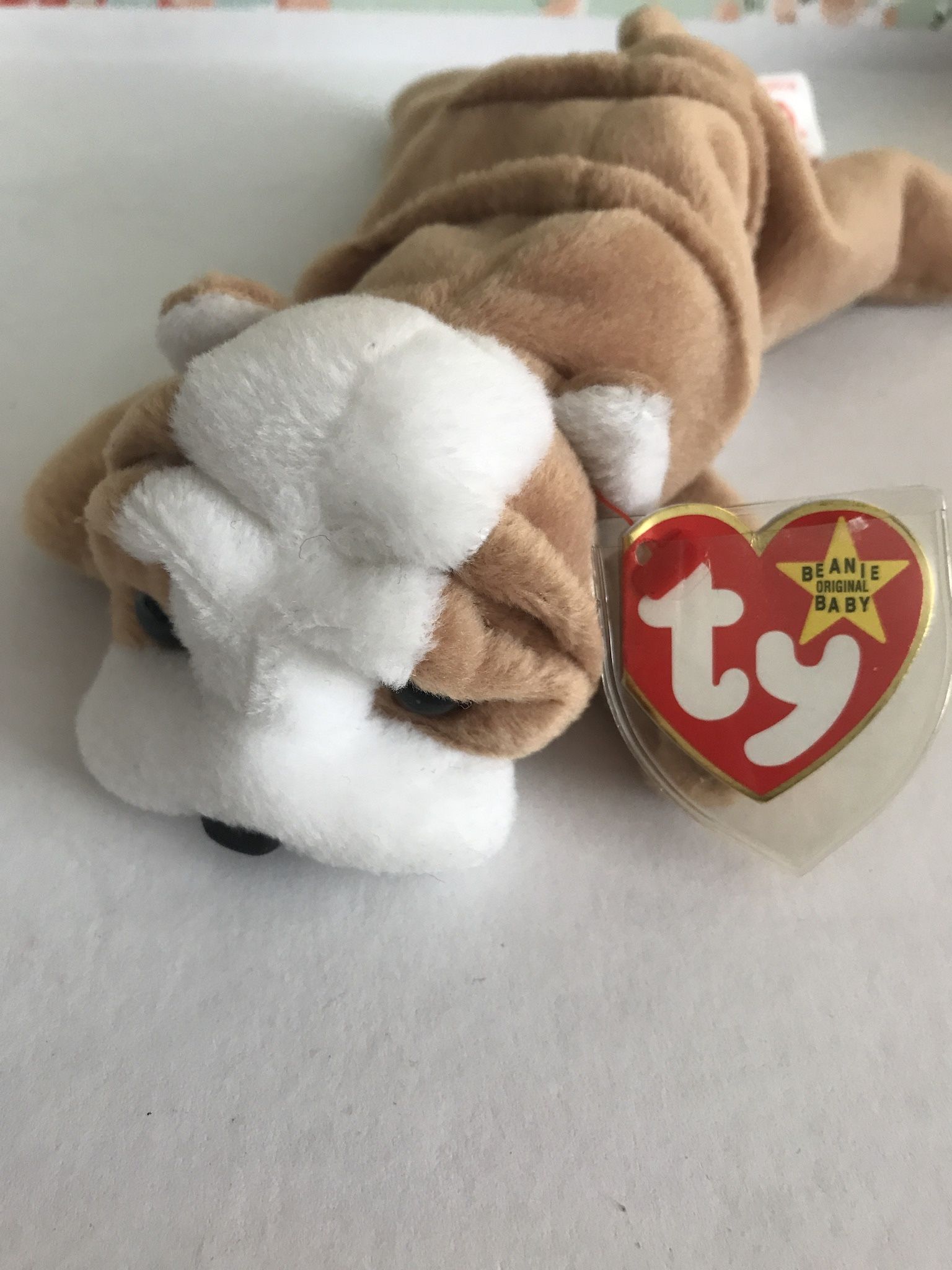 TY Beanie Baby Wrinkles 5-1-96. Style 4103. With Errors. P.V.C.