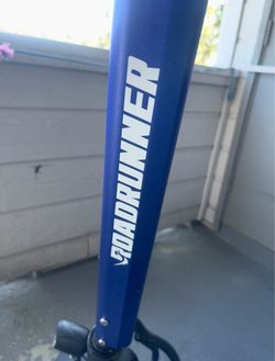 Roadrunner D4 + 4.0 Electric Scooter