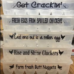 Egg Storage Container 