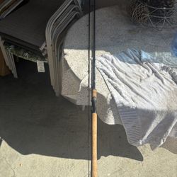 10ft Salmon Steel Head Rod MH  (Bass Pro Shop Fish Eagle)