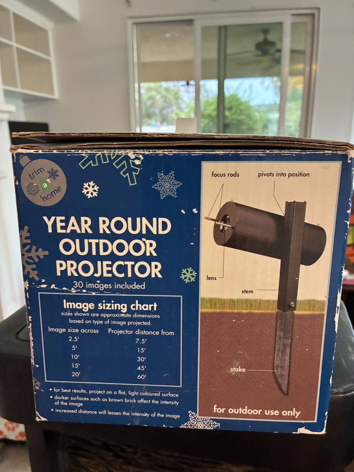 Holiday projector