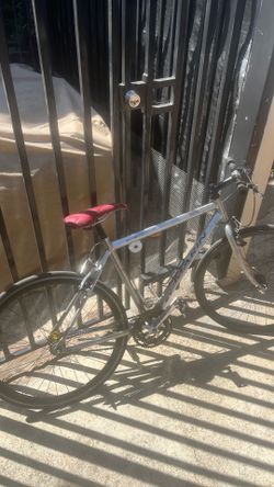 Fixed gear bike