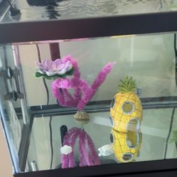 40 Gal fish tank with stand