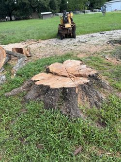 Stump Grinding