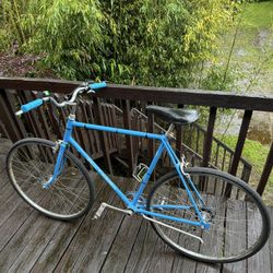 1970s Schwinn Suburban