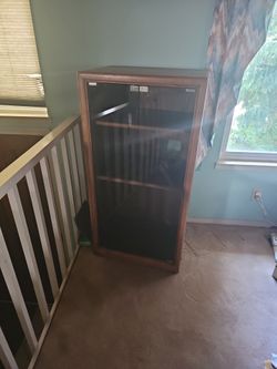 Solid Oak with smoked glass Stereo Cabinet