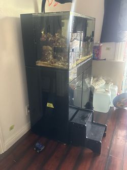 Saltwater aquarium jbj 65g