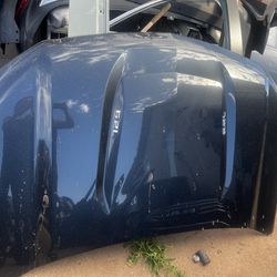 20/25 Chevrolet Silverado Hood Oem