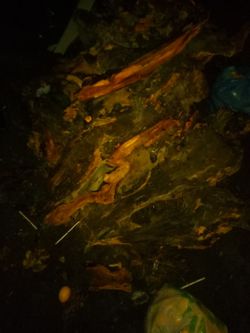 To OLIVE WOOD For Sale