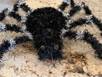 Big spider