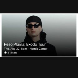 Peso Pluma Concert