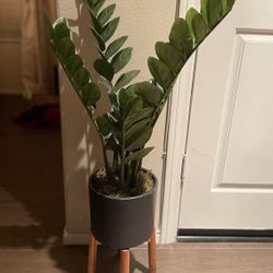 Artificial Plant