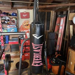 Punching Bag Everlast