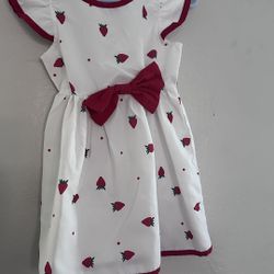 Little Girl Dress