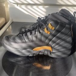 Jordan Taxi 12s NEVER WORN 