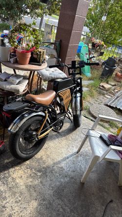 Silver & gold, black electric bike