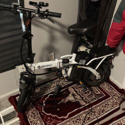 E-Bike (READ DESCRIPTION)