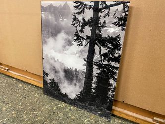 “Silent Sentinel” Photo Print on Acrylic by Larey McDaniel