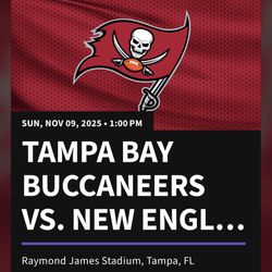 For Sale- 1 Ticket: Tampa Bay Buccaneers vs New England Patriots