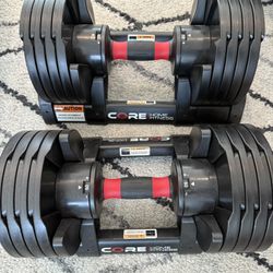 Adjustable Free Weights 