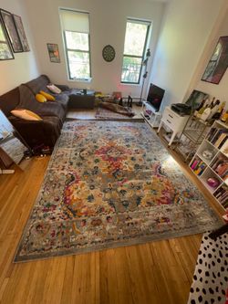 6’ x 9’ Modern Persian Style Area Rug – Excellent Co
