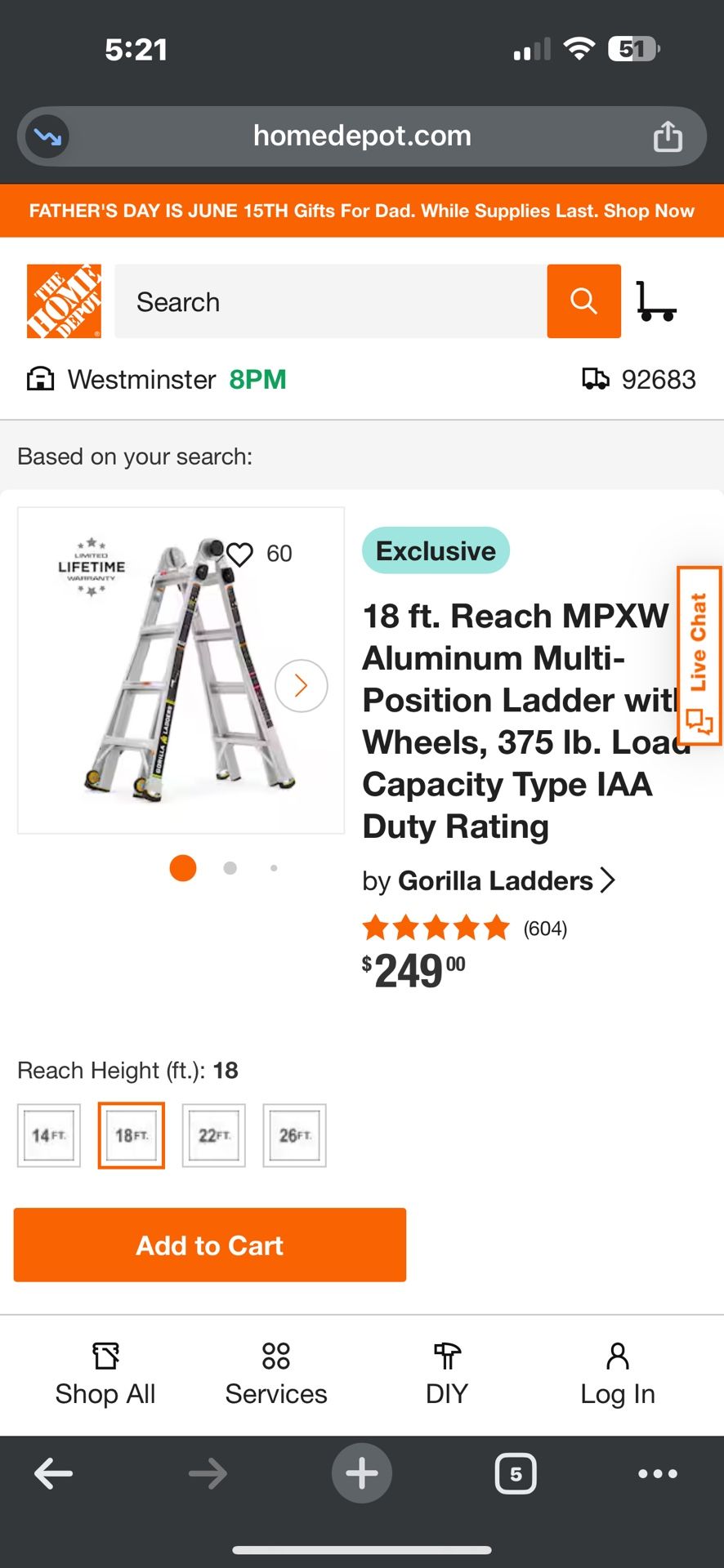 Gorilla Ladder